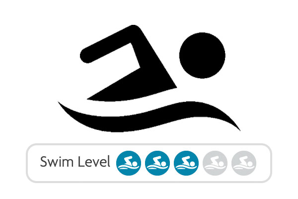 Swim Level 3 category