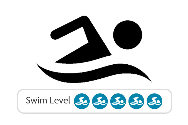 Swim Level 5 category