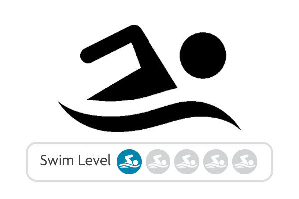 Swim Level 1 category