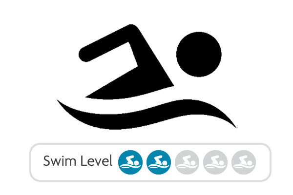 Swim Level 2 category