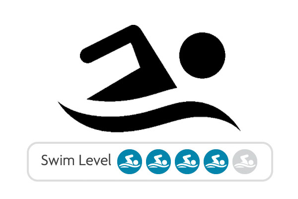 Swim Level 4 category