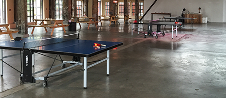 Tiger Table Tennis category